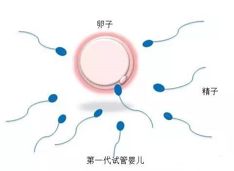 林院长